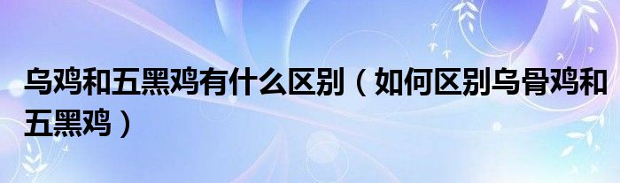 乌鸡和五黑鸡有什么区别（如何区别乌骨鸡和五黑鸡）