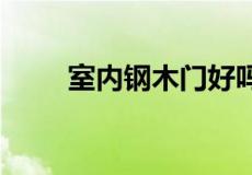 室内钢木门好吗 钢木门优缺点解析