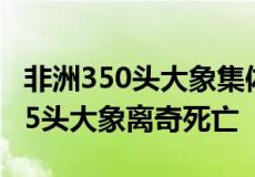 非洲350头大象集体去世 博茨瓦纳3个月内275头大象离奇死亡