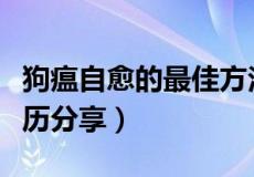 狗瘟自愈的最佳方法是什么（狗瘟成功治愈经历分享）