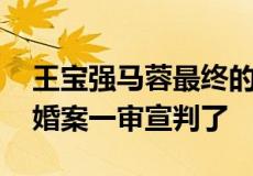 王宝强马蓉最终的判决是什么样的 王宝强离婚案一审宣判了