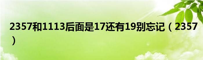 2357和1113后面是17还有19别忘记（2357）