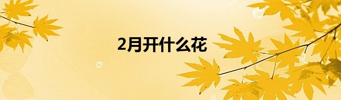 2月开什么花