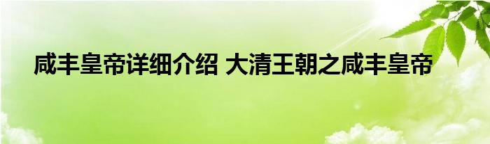 咸丰皇帝详细介绍 大清王朝之咸丰皇帝