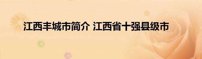 江西丰城市简介 江西省十强县级市