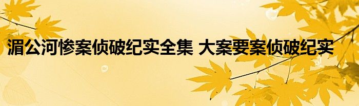 湄公河惨案侦破纪实全集 大案要案侦破纪实