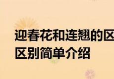 迎春花和连翘的区别是什么 迎春花和连翘的区别简单介绍