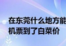 在东莞什么地方能买到便宜机票 据说最近的机票到了白菜价