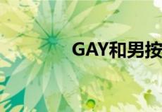 GAY和男按摩师GAY的漫画