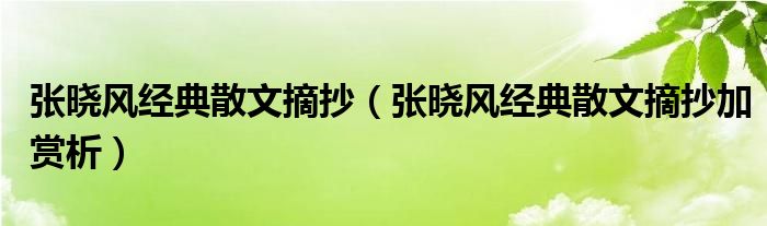 张晓风经典散文摘抄（张晓风经典散文摘抄加赏析）