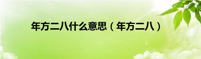 年方二八什么意思（年方二八）