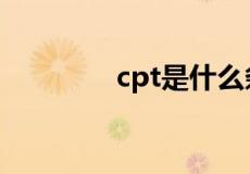 cpt是什么条款（cpt条款）