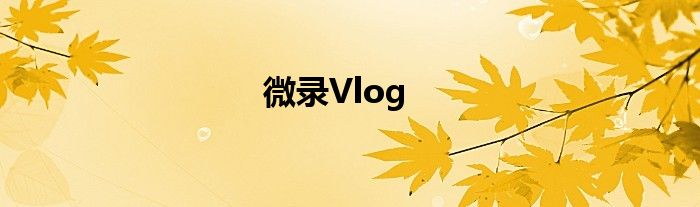 微录Vlog