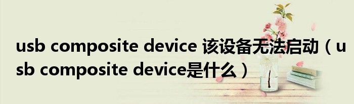 usb composite device 该设备无法启动（usb composite device是什么）