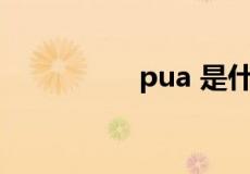 pua 是什么意思是什么