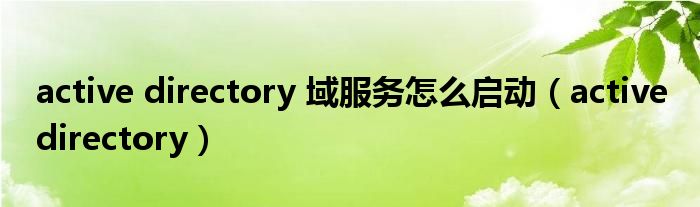 active directory 域服务怎么启动（active directory）