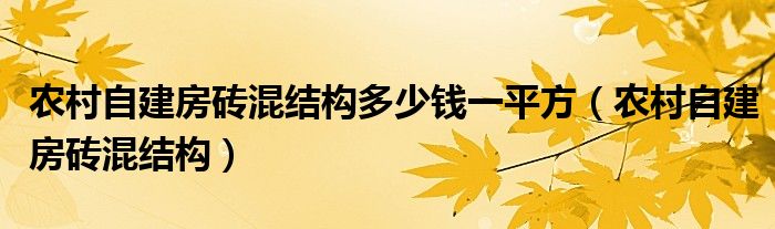 农村自建房砖混结构多少钱一平方（农村自建房砖混结构）