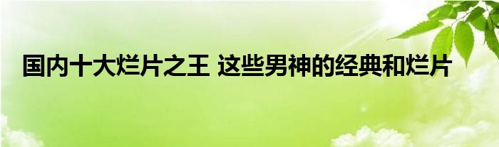 国内十大烂片之王 这些男神的经典和烂片