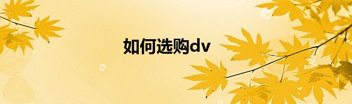 如何选购dv