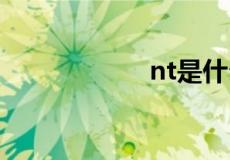 nt是什么梗 nt解释