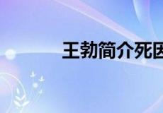 王勃简介死因 王勃的悲情一生