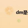 dm是什么牌子（dm是什么）