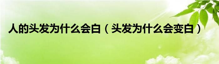 人的头发为什么会白（头发为什么会变白）