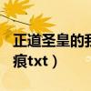 正道圣皇的我娶了邪道魔尊txt（圣皇 枫落忆痕txt）