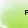 田园诗词大全100首