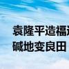 袁隆平造福过不吃米的人吗 袁隆平弘愿让盐碱地变良田）