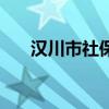 汉川市社保查询网（汉川市社保查询）