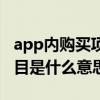 app内购买项目是什么意思啊（app内购买项目是什么意思）