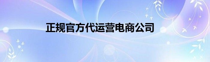 正规官方代运营电商公司