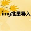 img批量导入工具教程（img批量导入工具）