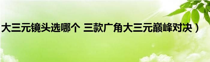 大三元镜头选哪个 三款广角大三元巅峰对决）