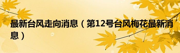 最新台风走向消息（第12号台风梅花最新消息）