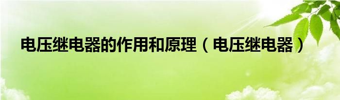 电压继电器的作用和原理（电压继电器）