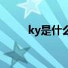 ky是什么意思（ky粉是什么意思）