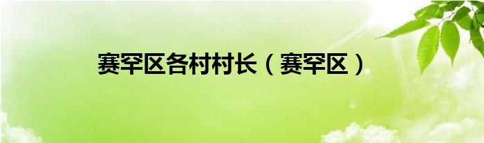 赛罕区各村村长（赛罕区）