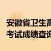 安徽省卫生高级职称考试成绩查询（高级职称考试成绩查询）