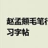 赵孟頫毛笔行书必练100个（赵孟頫行书入门习字帖