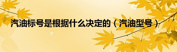 汽油标号是根据什么决定的（汽油型号）