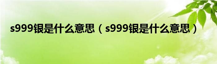 s999银是什么意思（s999银是什么意思）