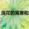 莲花的寓意和象征清廉（莲花的寓意和象征）