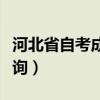 河北省自考成绩查询网站（河北省自考成绩查询）