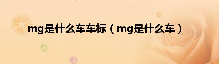 mg是什么车车标（mg是什么车）