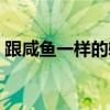 跟咸鱼一样的软件有哪些（类似咸鱼的网站）