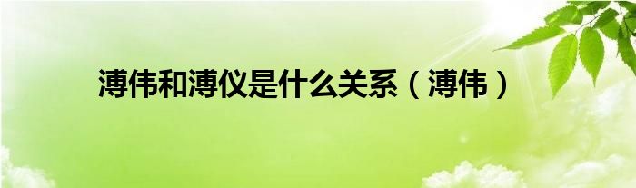 溥伟和溥仪是什么关系（溥伟）