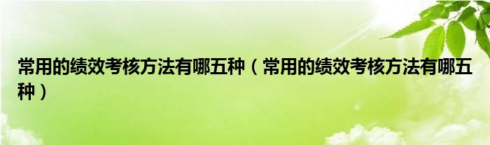 常用的绩效考核方法有哪五种（常用的绩效考核方法有哪五种）