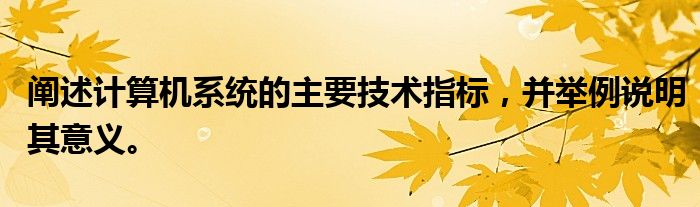 阐述计算机系统的主要技术指标，并举例说明其意义。